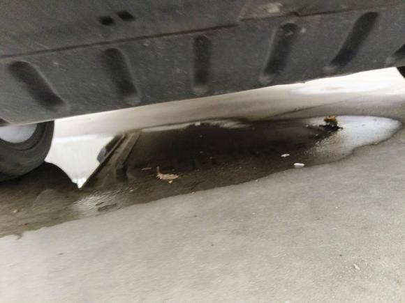 [上海·沪A] 二手比亚迪宋PLUS新能源2021款 EV 尊贵型