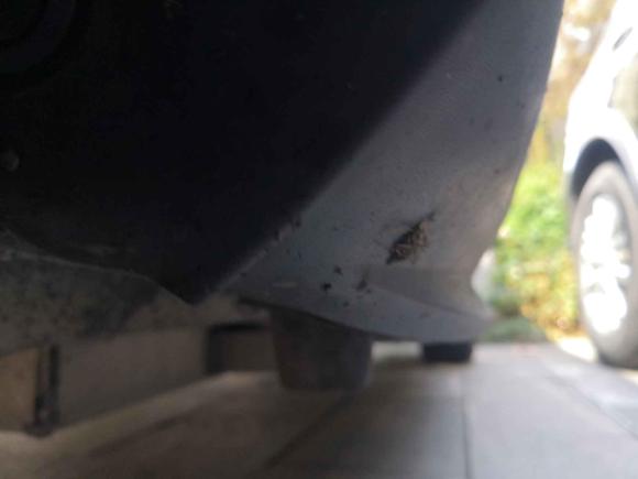 [杭州·浙A] 二手比亚迪元新能源2018款 EV360 智联尚酷型