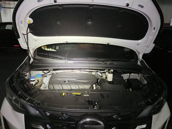 [武汉·鄂W] 二手广汽传祺传祺M62021款 PRO 270T 自动尊享版