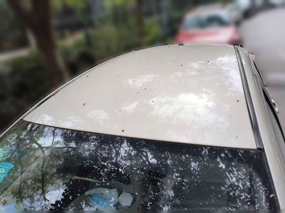 [上海·浙A] 二手丰田雅力士2008款 1.6G 自动精致智能版