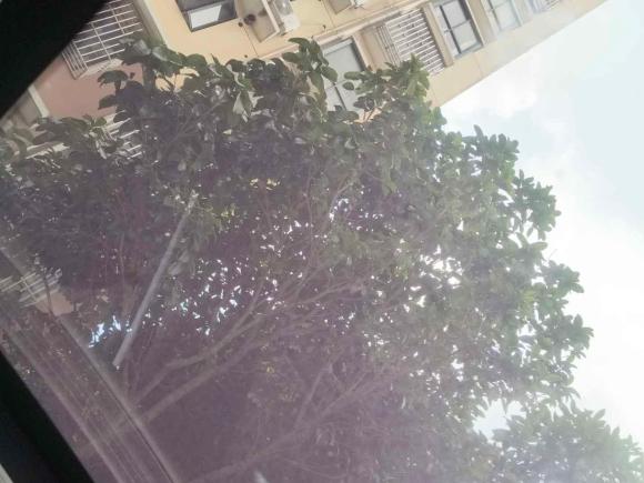 [上海·沪A] 二手吉利汽车帝豪GSe2018款 尊尚型