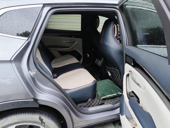 [成都·川A] 二手比亚迪宋PLUS新能源2021款 EV 旗舰型