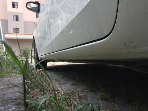 [上海·沪C] 二手丰田卡罗拉2014款 1.6L CVT GL