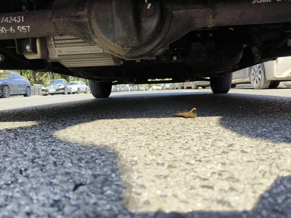 [无锡·苏B] 二手五菱汽车宏光MINIEV2021款 马卡龙臻享款 磷酸铁锂