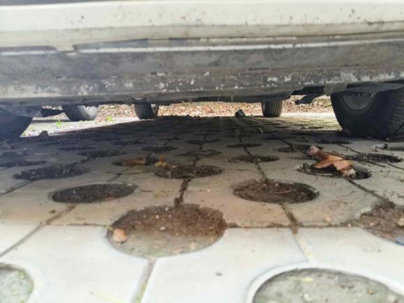 [合肥·皖A] 二手大众Polo2013款 1.6L 自动舒适版