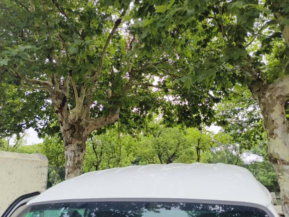 [上海·苏U] 二手金杯小海狮X302023款 1.5L 财富型厢货2/5座无空调版SWC15M