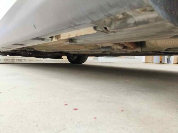 [无锡·苏B] 二手福特福克斯2017款 两厢 1.6L 手动舒适型智行版