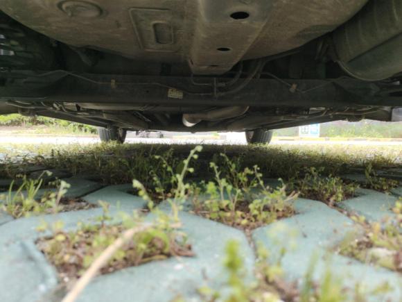 [上海·苏E] 二手铃木雨燕2011款 1.5L 自动运动版