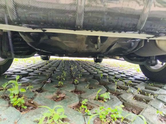 [上海·苏U] 二手本田飞度2014款 1.5L SE CVT时尚型