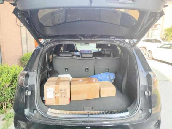 [上海·沪A] 二手腾势腾势X2020款 PHEV旗舰版