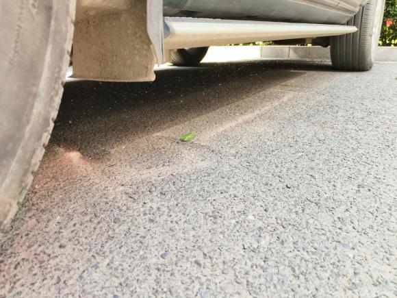 [青岛·鲁B] 二手路虎发现2015款 3.0 SDV6 HSE 柴油版