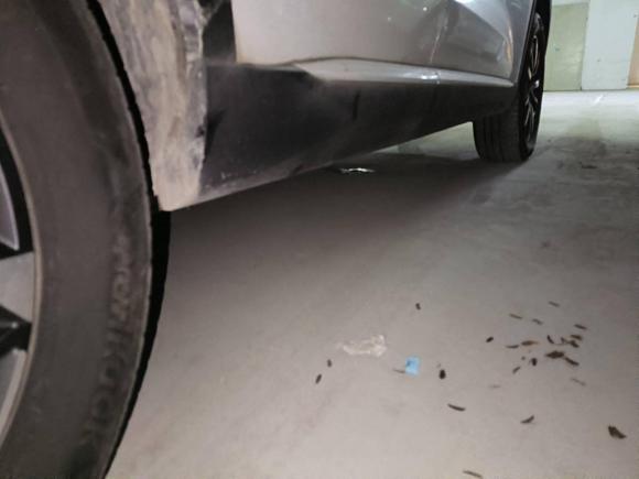 [佛山·粤D] 二手哈弗哈弗H62021款 第三代 1.5T 自动两驱Max