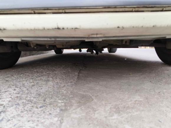 [芜湖·皖B] 二手福特福克斯2013款 两厢经典 1.8L 手动基本型