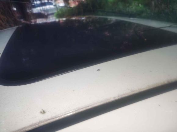 [温州·浙J] 二手启辰启辰R502012款 1.6L 自动尊贵版