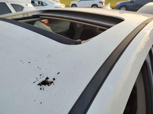 [上海·鲁R] 二手长安悦翔V72016款 1.6L 手动乐享型 国V