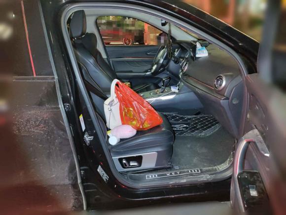 [芜湖·皖B] 二手魏牌魏牌 VV52017款 2.0T 超豪型