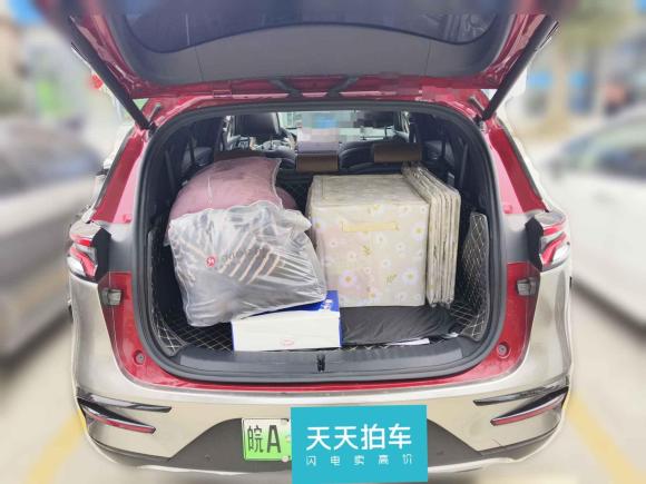 [合肥·皖A] 二手比亚迪唐新能源2021款 DM-i 112KM 尊荣型