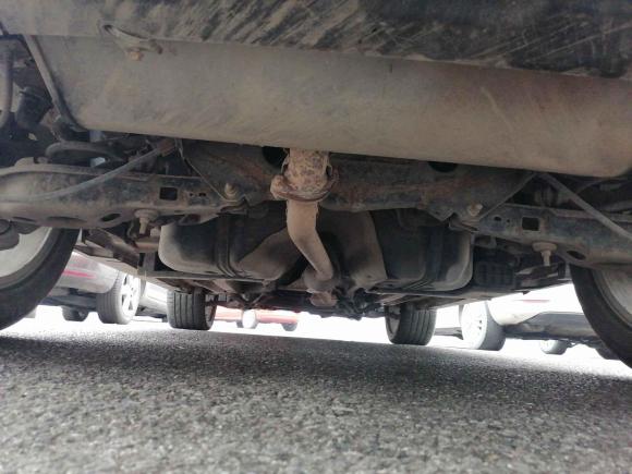 [上海·皖S] 二手陆风陆风X72015款 2.0T 全景旗舰版