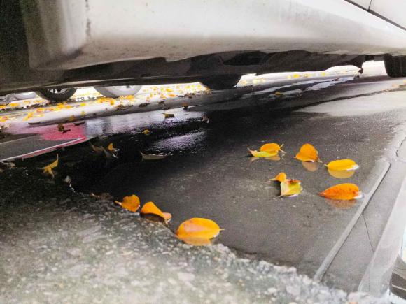 [佛山·粤X] 二手福特蒙迪欧2013款 2.0L GTDi200时尚型