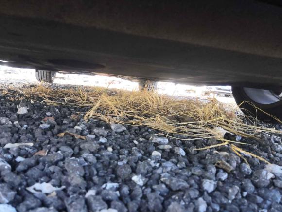 [北京·京G] 二手起亚起亚K32017款  1.6L 自动15周年特别版GLS