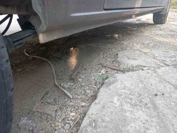 [嘉兴·豫V] 二手长安凯程长安睿行M602023款 1.5L GDI舒适型客车6/7座