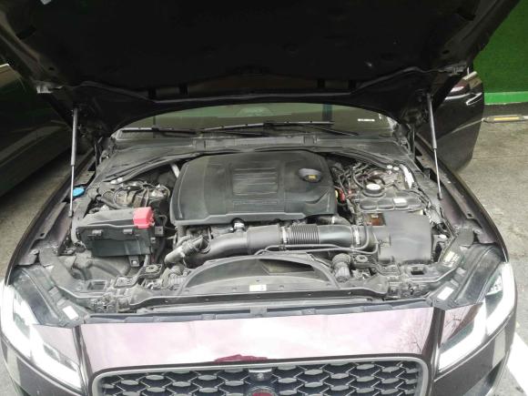 [苏州·苏E] 二手捷豹捷豹XFL2021款 XFL 2.0T P250 两驱尊享豪华版