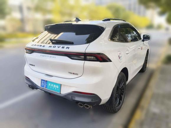 [上海·苏U] 二手东风风行风行T5 EVO2021款 1.5TD DCT钻石版