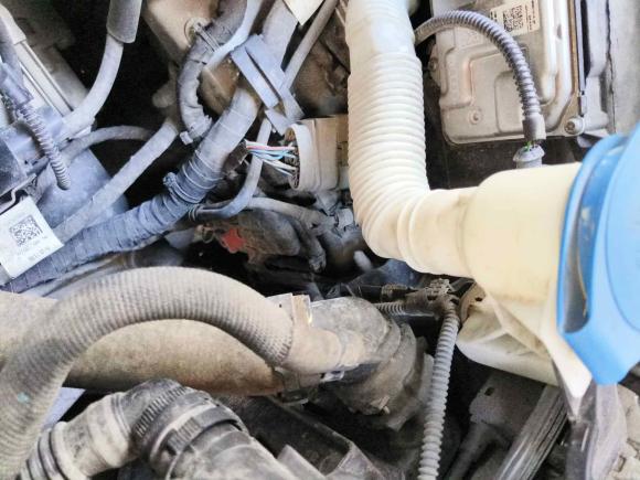 [温州·浙C] 二手奥迪奥迪A32019款 Sportback 35 TFSI 时尚型 国VI