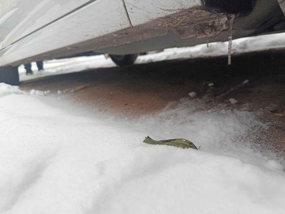 [北京·京E] 二手别克英朗2021款 典范 1.5L 自动进取型