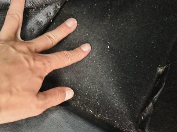 [湖州·浙E] 二手奔腾奔腾T772021款 PRO 280 TID 自动豪华型