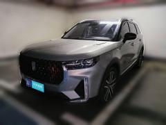 [长沙·湘A] 奔腾奔腾T992020款 20TD 自动运动尊享型