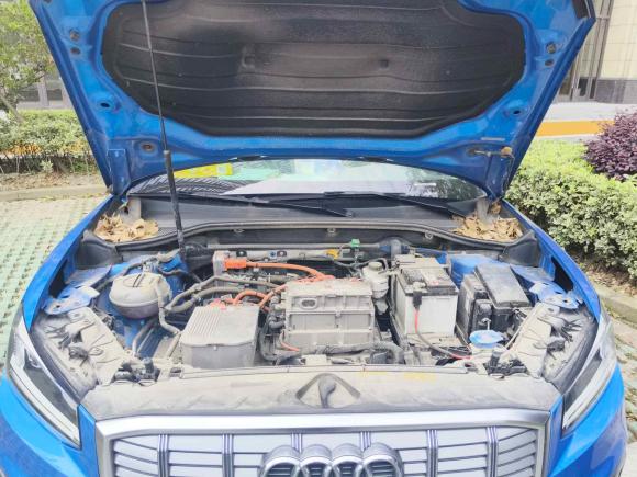 [上海·沪A] 二手奥迪奥迪Q2L e-tron2019款 Q2L e-tron 纯电智享型