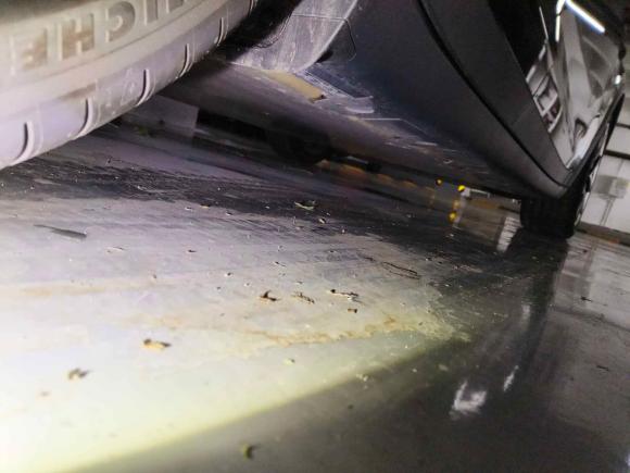 [上海·沪A] 二手特斯拉Model X2023款 双电机全轮驱动版