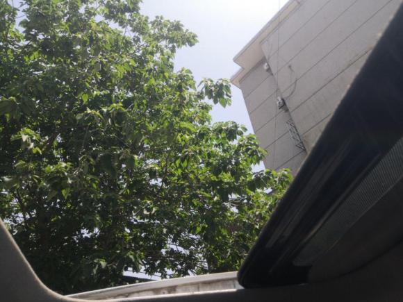 [上海·豫S] 二手现代朗动2012款 1.6L 手动领先型