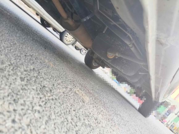 [武汉·鄂W] 二手东风风行菱智2020款 M5L 1.6L 豪华型 7座