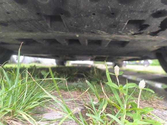 [广州·粤A] 二手凯迪拉克凯迪拉克CT42020款 28T 精英型