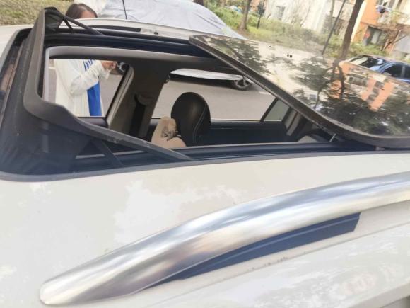 [上海·浙B] 二手大众途观L2020款 330TSI 自动两驱智动豪华版 国VI