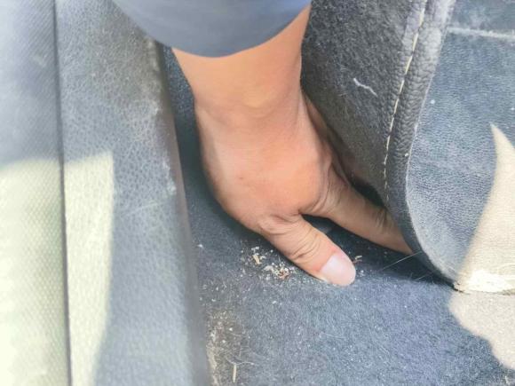 [常州·苏A] 二手福特福克斯2012款 三厢 1.6L 自动风尚型