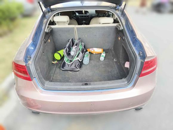 [上海·皖A] 二手奥迪奥迪A52010款 2.0TFSI Sportback 舒适型