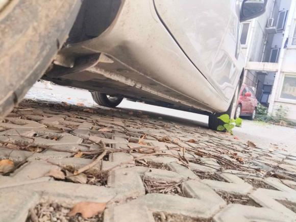 [上海·沪C] 二手日产骐达TIIDA2011款 1.6T 手动炫动版