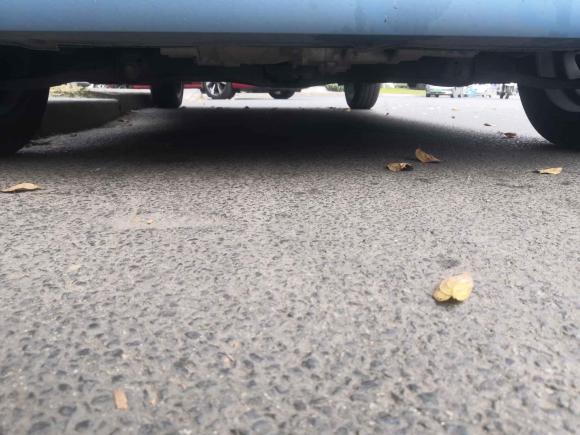 [成都·川A] 二手欧拉欧拉黑猫2019款 351km 亲子版