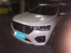 [无锡·苏C]哈弗&nbsp;&nbsp;哈弗H4&nbsp;&nbsp;2019款红标1.5GDITDCT精英智联版