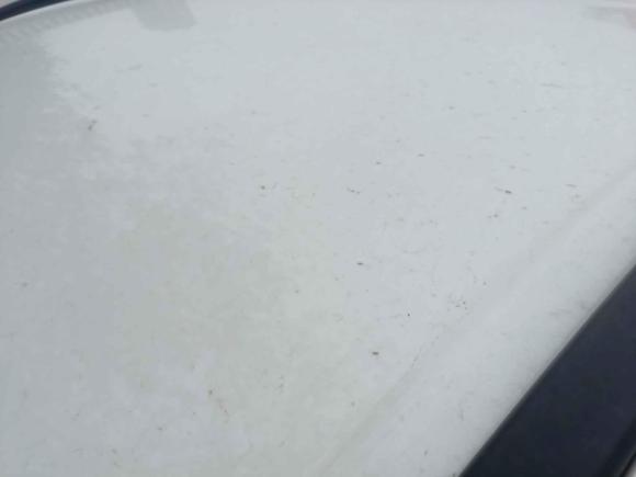 [济南·鲁A] 二手铃木维特拉2016款 1.6L 手动两驱进取型