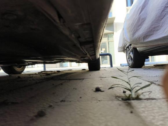 [南昌·赣A] 二手马自达马自达3 昂克赛拉2014款 三厢 1.5L 自动豪华型