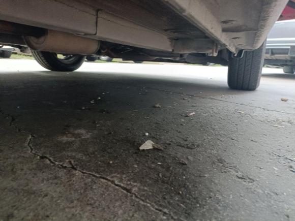 [佛山·粤E] 二手铃木奥拓2009款 1.0L 自动豪华型