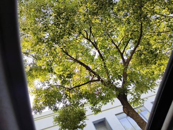 [上海·沪M] 二手丰田雷凌2018款 双擎 1.8H GS-V E-CVT尊贵版 国VI