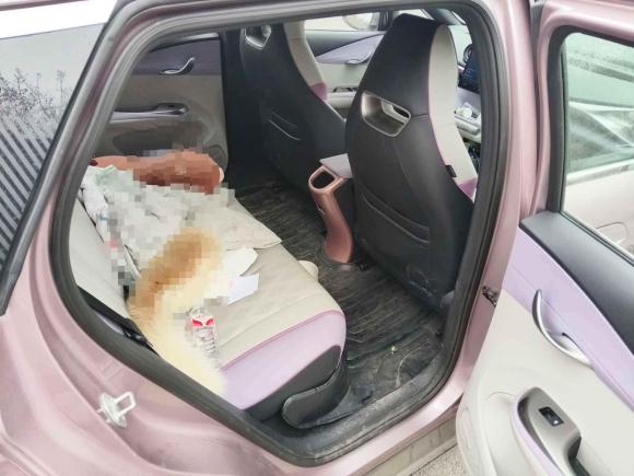 [西安·陕A] 二手比亚迪海豚2023款 420km 自由版