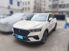 [深圳·赣C] 奔腾奔腾T772019款 230 TID 自动尊贵型 国VI