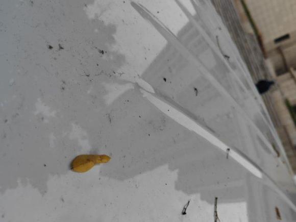 [西安·陕U] 二手吉利汽车嘉际2019款 1.8TD 自动悦享型