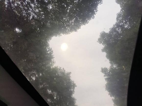 [上海·沪A] 二手smartsmart fortwo2011款 1.0T 硬顶激情版